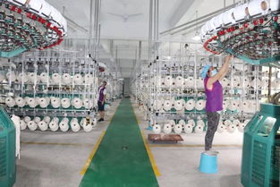 麗富藝集團(tuán)各生產(chǎn)廠工作動(dòng)態(tài)